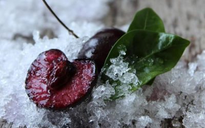 CÓMO CONGELAR LOS ALIMENTOS ADECUADAMENTE.